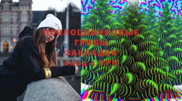 спайс Медвежьегорск