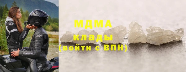 индика Медногорск