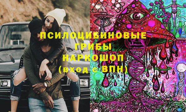 индика Медногорск