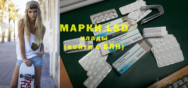 индика Медногорск