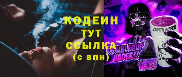 индика Медногорск