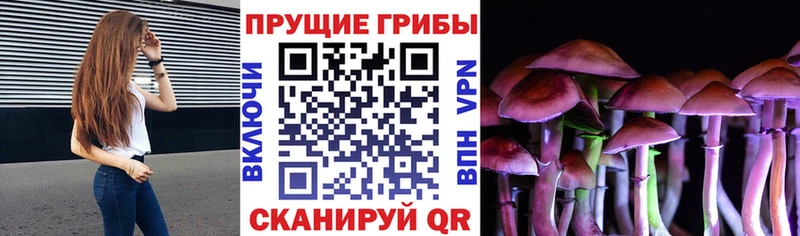 даркнет сайт  Невельск  omg ONION  Галлюциногенные грибы MAGIC MUSHROOMS 